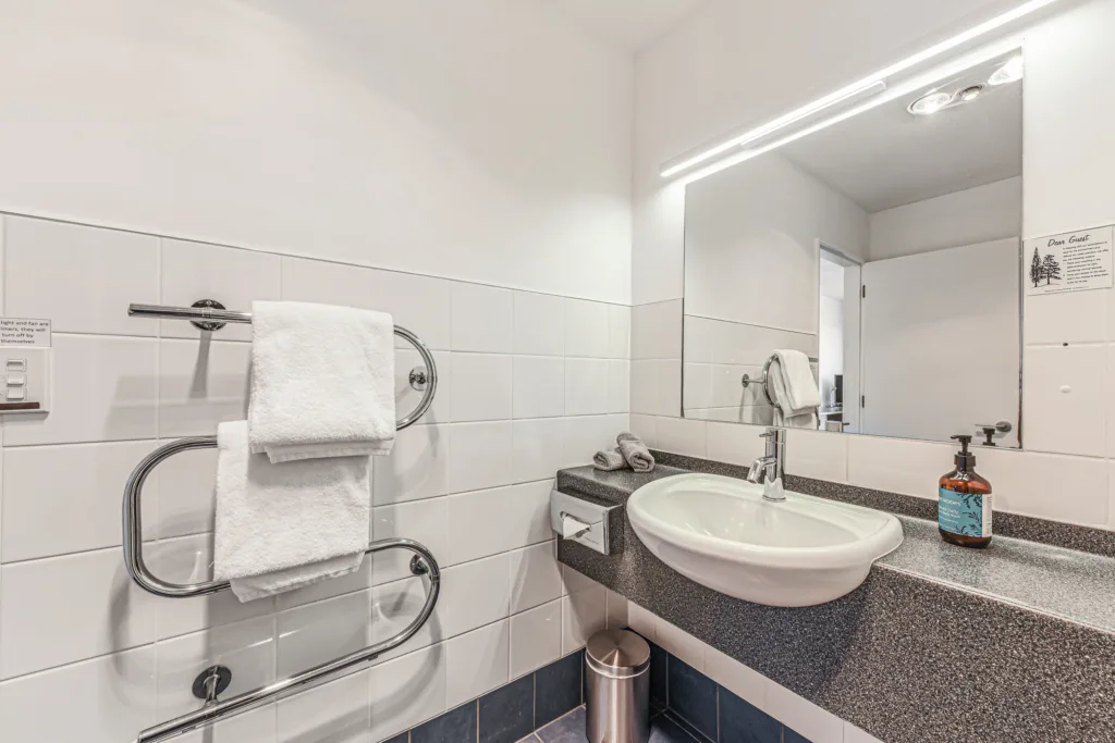 Bathroom vanity and Antipodes hand wash
